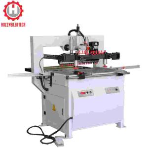 Double Row Structured Multi Drilling Machine DW21